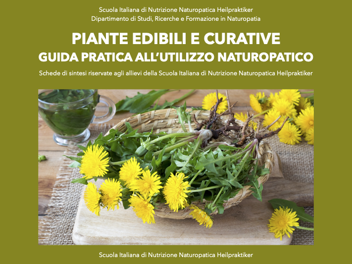 Piante edibili e curative