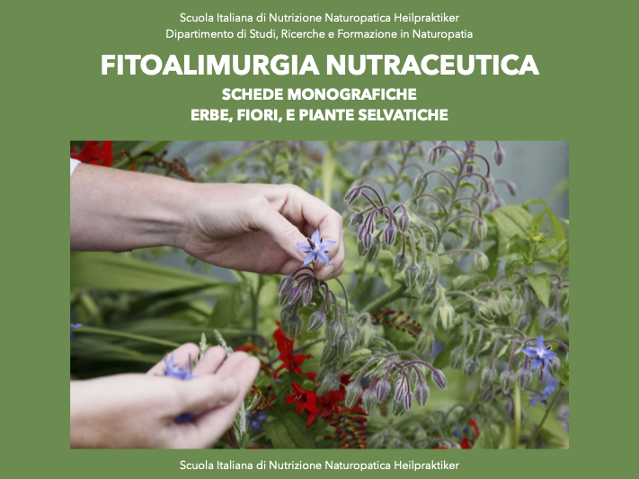 Fitoalimurgia nutraceutica